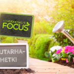viherkeskus focus savon aallot